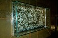 glass5